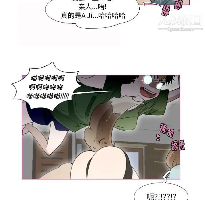 《我的猫狗女友》漫画 第2话