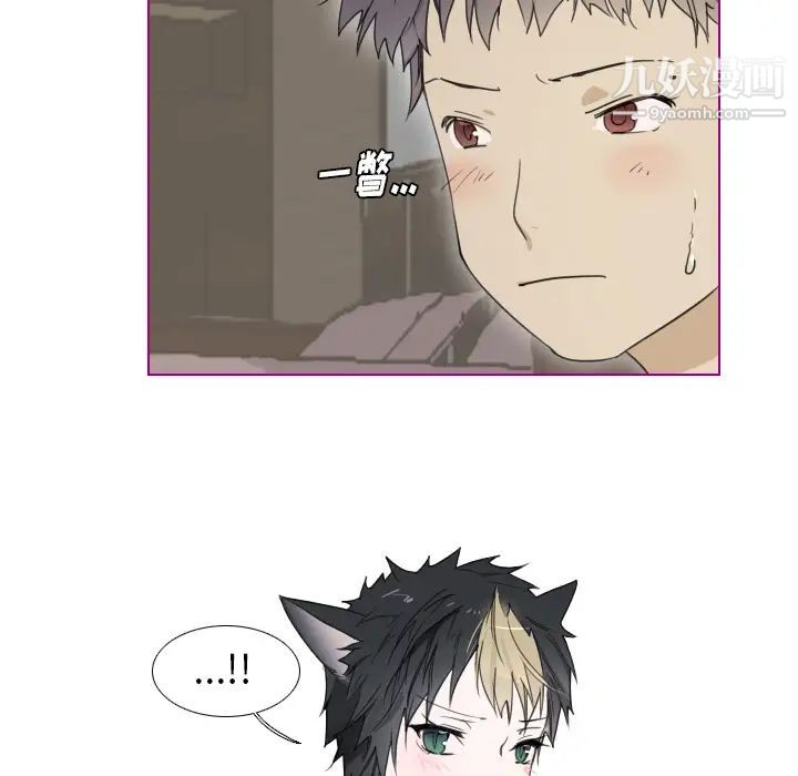 《我的猫狗女友》漫画 第2话