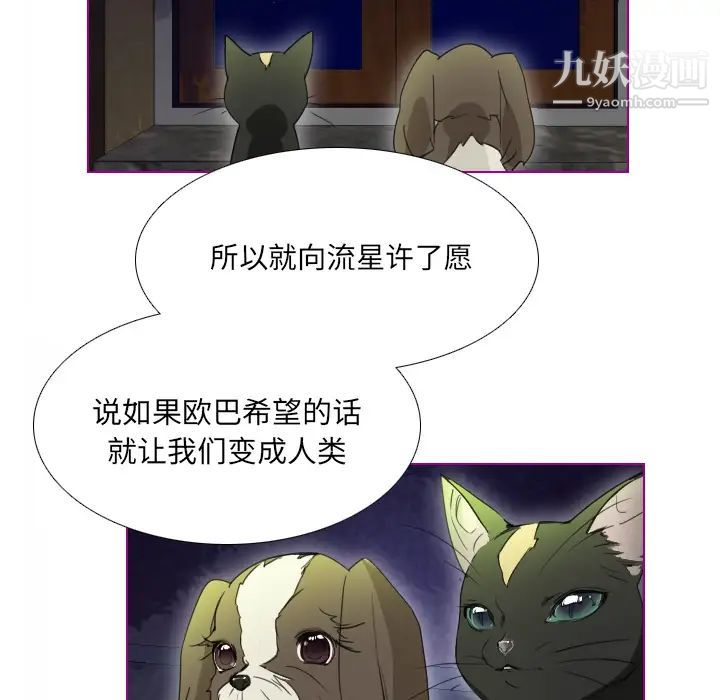 《我的猫狗女友》漫画 第2话