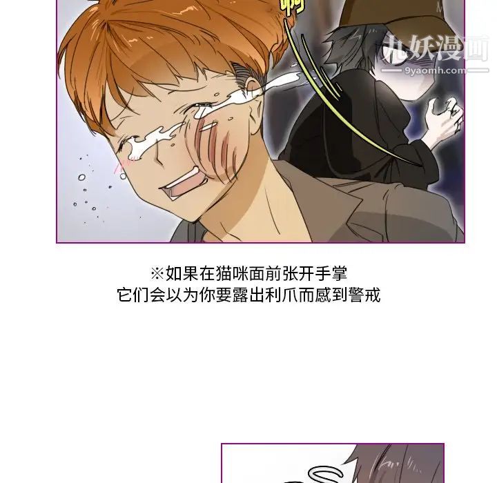 《我的猫狗女友》漫画 第3话