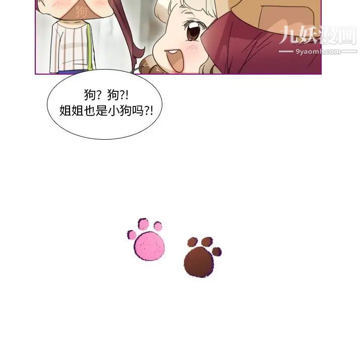 《我的猫狗女友》漫画 第5话