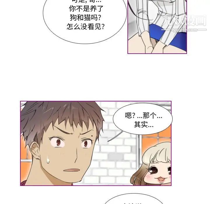 《我的猫狗女友》漫画 第5话
