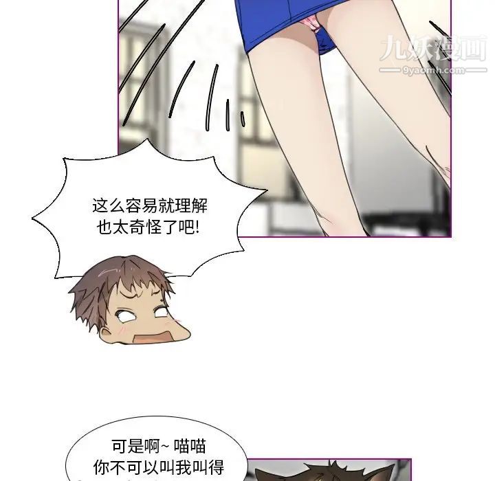 《我的猫狗女友》漫画 第5话