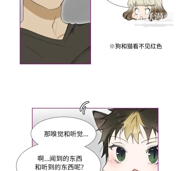 《我的猫狗女友》漫画 第6话