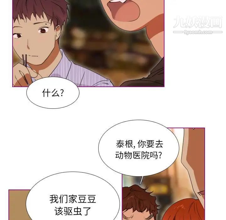 《我的猫狗女友》漫画 第6话