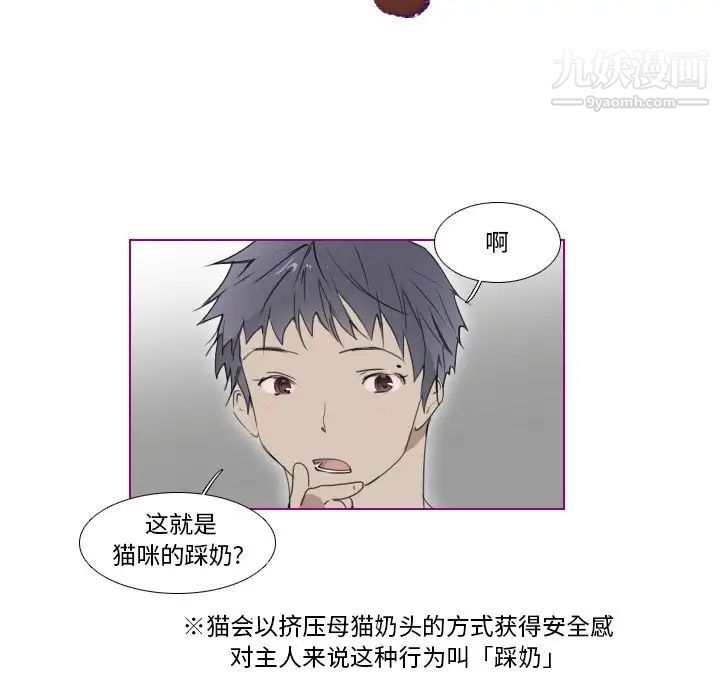 《我的猫狗女友》漫画 第8话