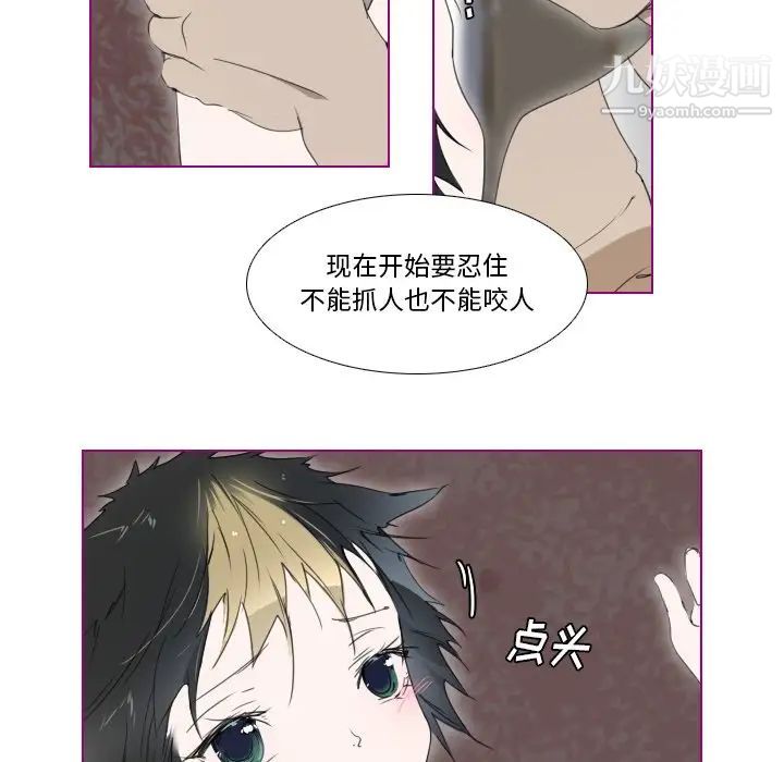 《我的猫狗女友》漫画 第8话