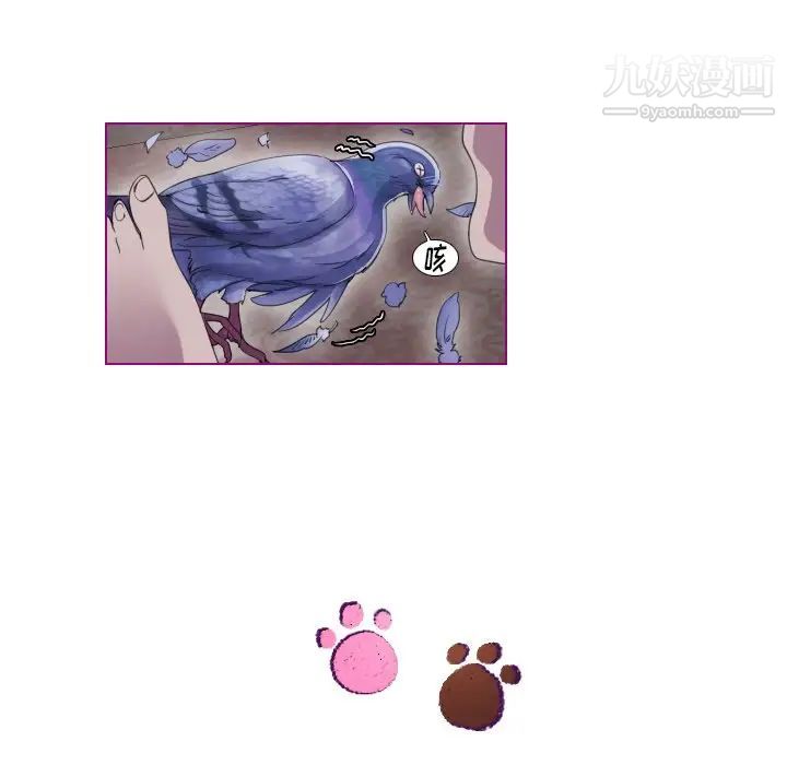 《我的猫狗女友》漫画 第9话