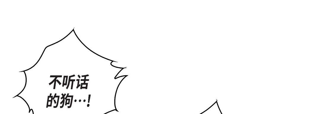 《献给心脏》漫画 第16話