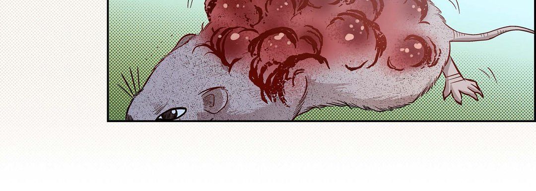 《献给心脏》漫画 第45話