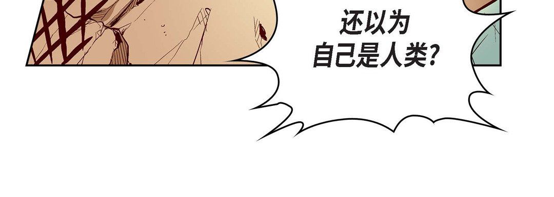 《献给心脏》漫画 第67話