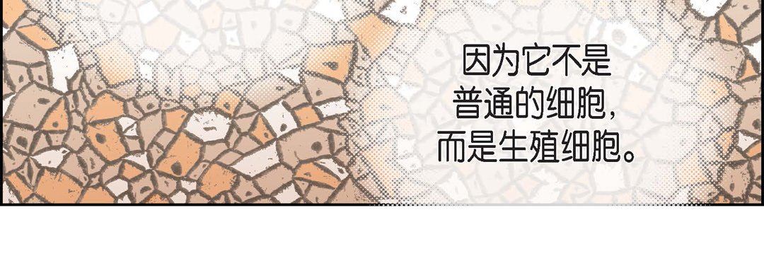 《献给心脏》漫画 第79話