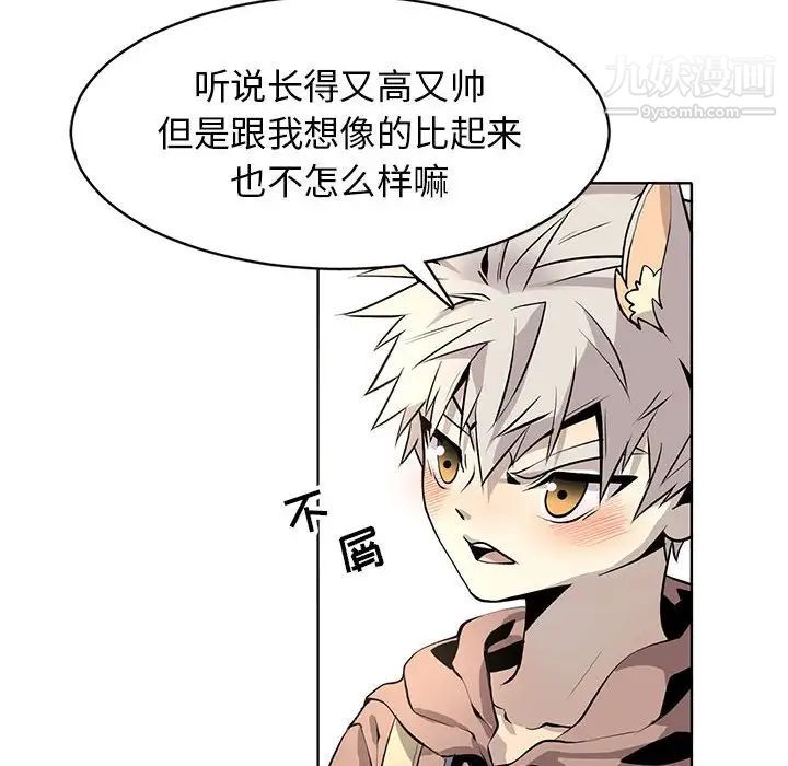 《野性之城》漫画 第127話最终话