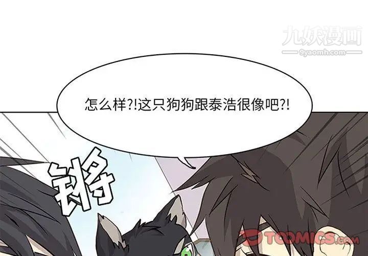 《野性之城》漫画 第36章