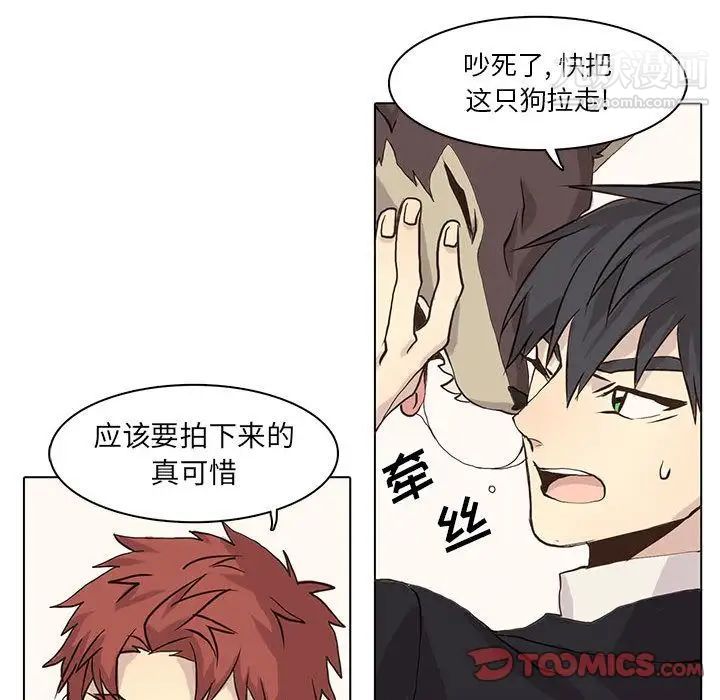 《野性之城》漫画 第41章