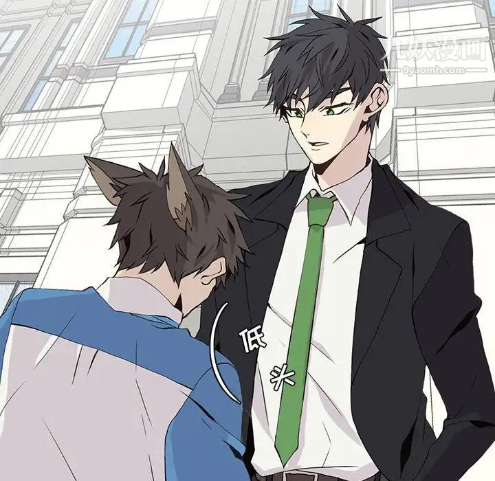《野性之城》漫画 第48话