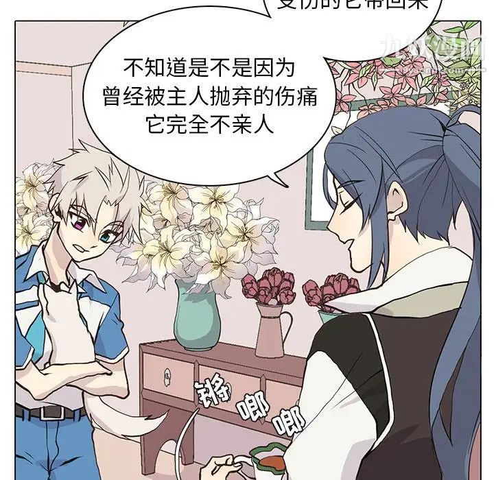 《野性之城》漫画 第73话