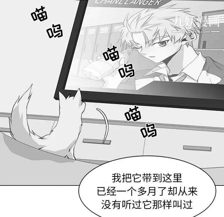 《野性之城》漫画 第73话