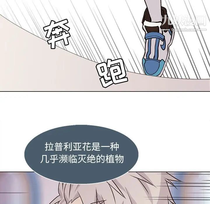 《野性之城》漫画 第73话