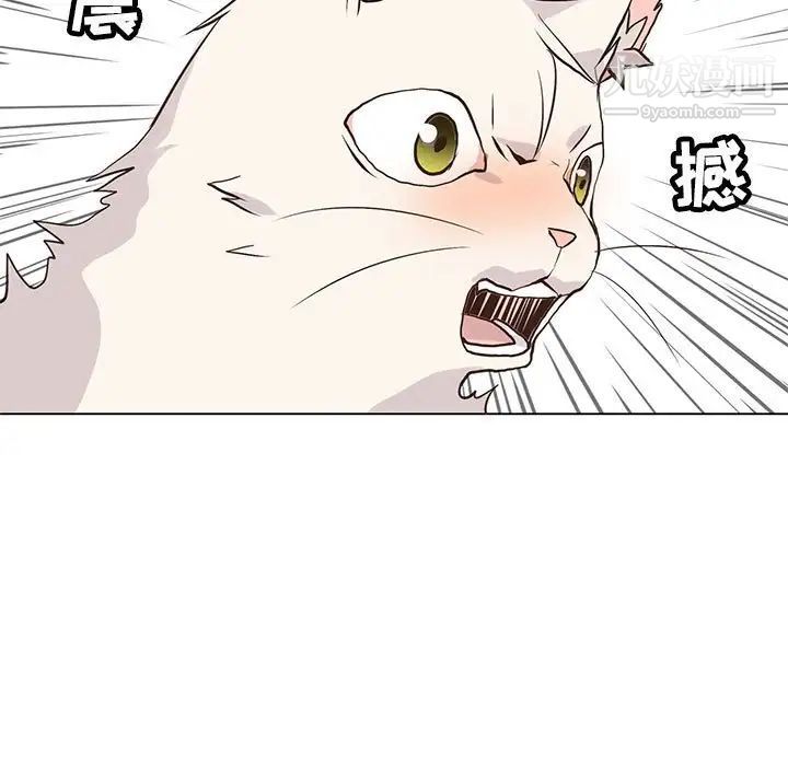 《野性之城》漫画 第88话