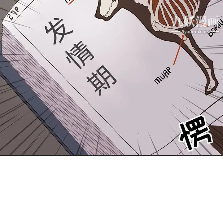 《野性之城》漫画 第89话