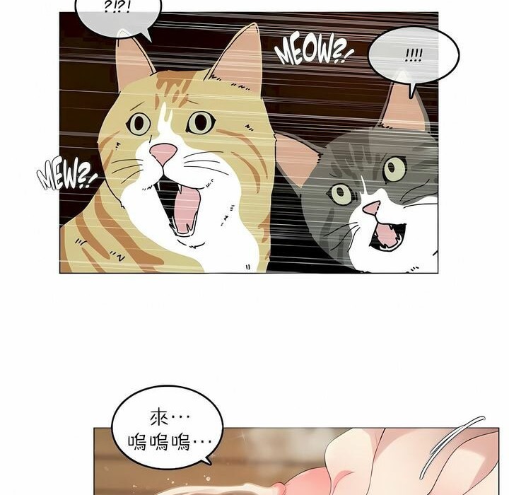 《一個變態的日常生活》漫画 第88話