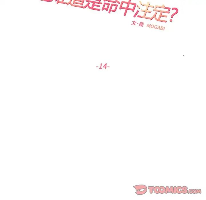 《这难道是命中注定》漫画 第14話