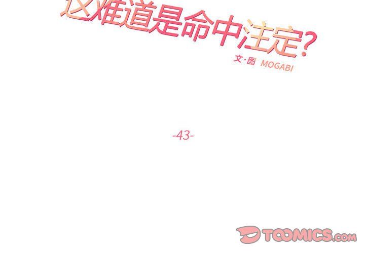 《这难道是命中注定》漫画 第43話