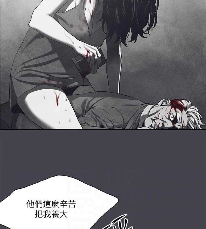 《縱夏夜之夢》漫画 第111話-爺爺失蹤的真相