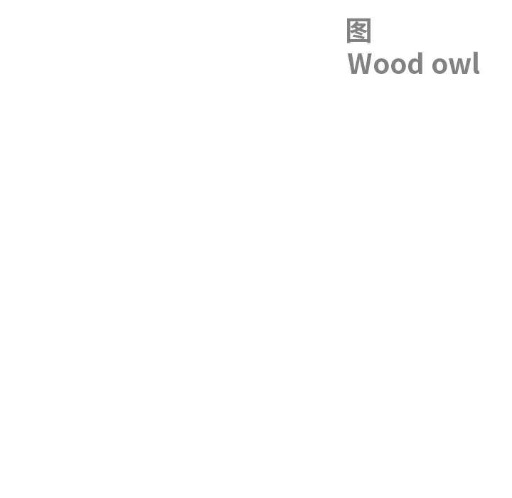 《最強男人》漫画 第46話