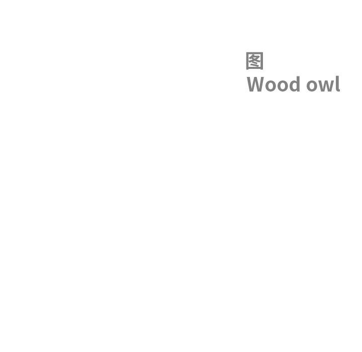 《最強男人》漫画 第50話