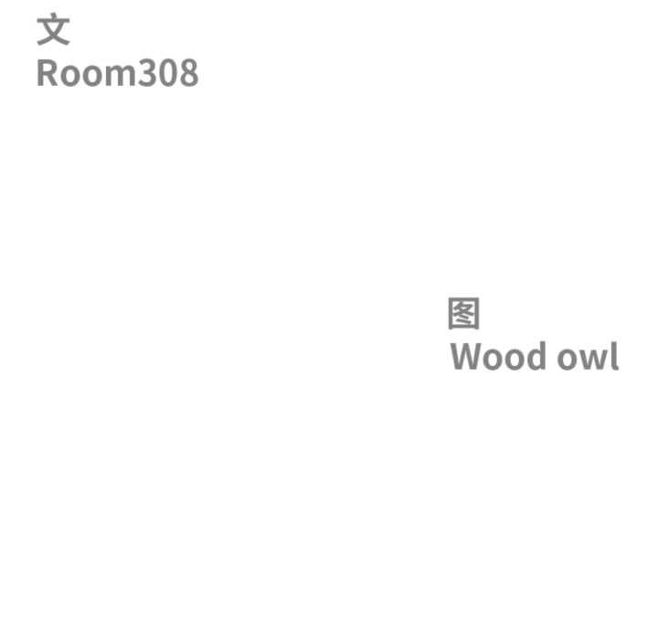 《最強男人》漫画 第55話