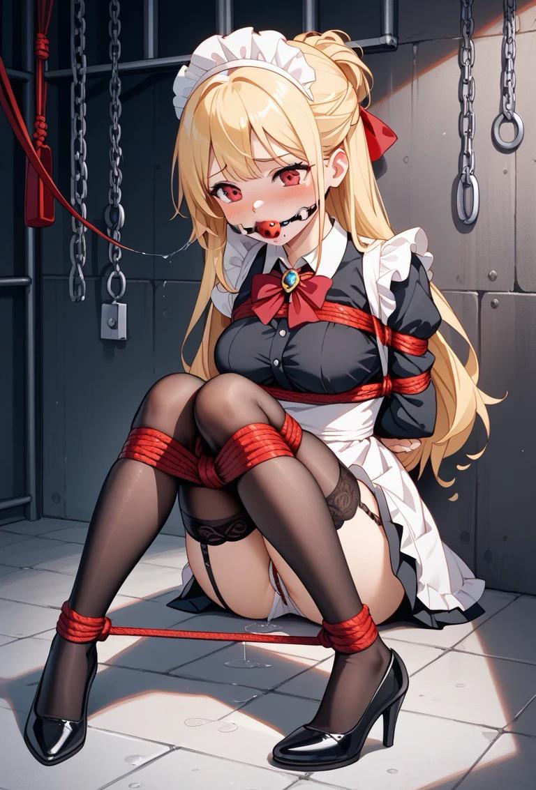 姐姐大人的私人女仆