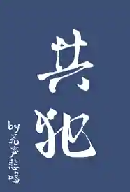 共犯小说