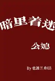 暗里着迷（公媳）小说