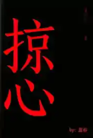 掠心小说