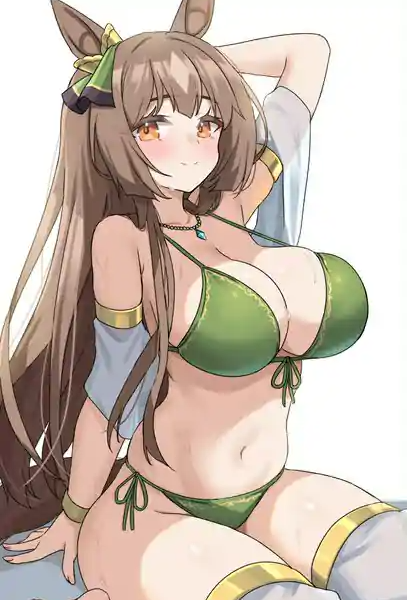 骗婚军士长小说