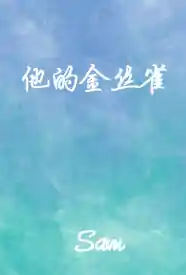 他的金丝雀小说