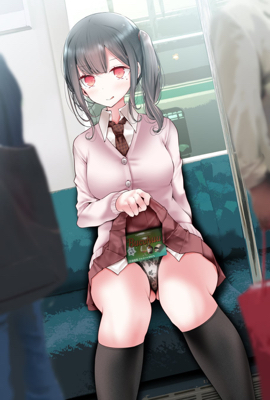 狼车小说