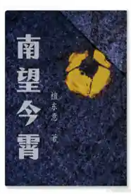 南望今霄小说
