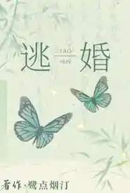 逃婚后去往何处小说
