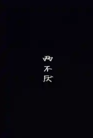 两不厌小说