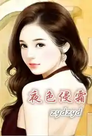 夜色侵霜小说