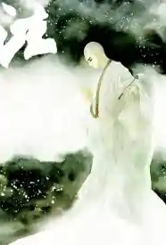 穿书之淫僧攻略手册小说